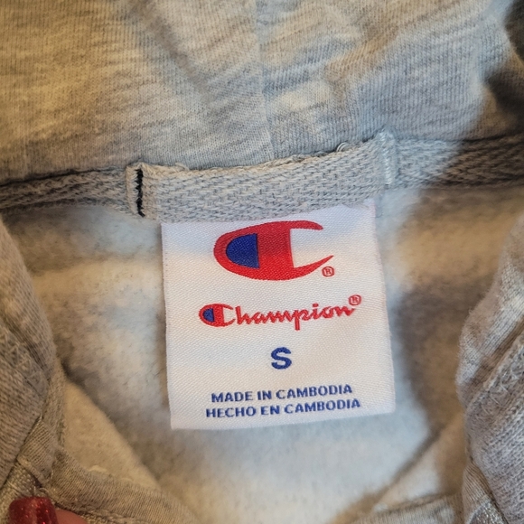 Champion Zip Up Hoodie | Light Gray | Size Small | Fleece Lined | EUC - Picture 3 of 5
